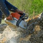 Leather City Tree Service - photo 2