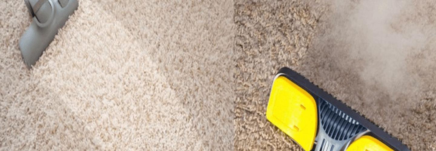 City Carpet Cleaning Scarborough cover photo