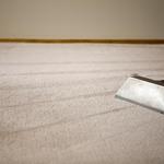 City Carpet Cleaning Scarborough - photo 1