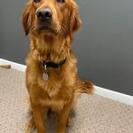 Dan Realty Group - Eau Claire - photo 2