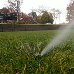 Lex Lawn & Irrigation - photo 2