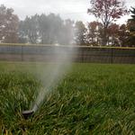 Lex Lawn & Irrigation - photo 9