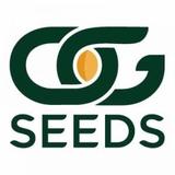 OG Seeds - Shopping in California City