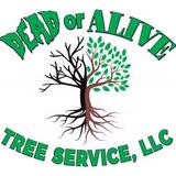Dead or Alive Tree Service LLC - Tree Services in Port Orange