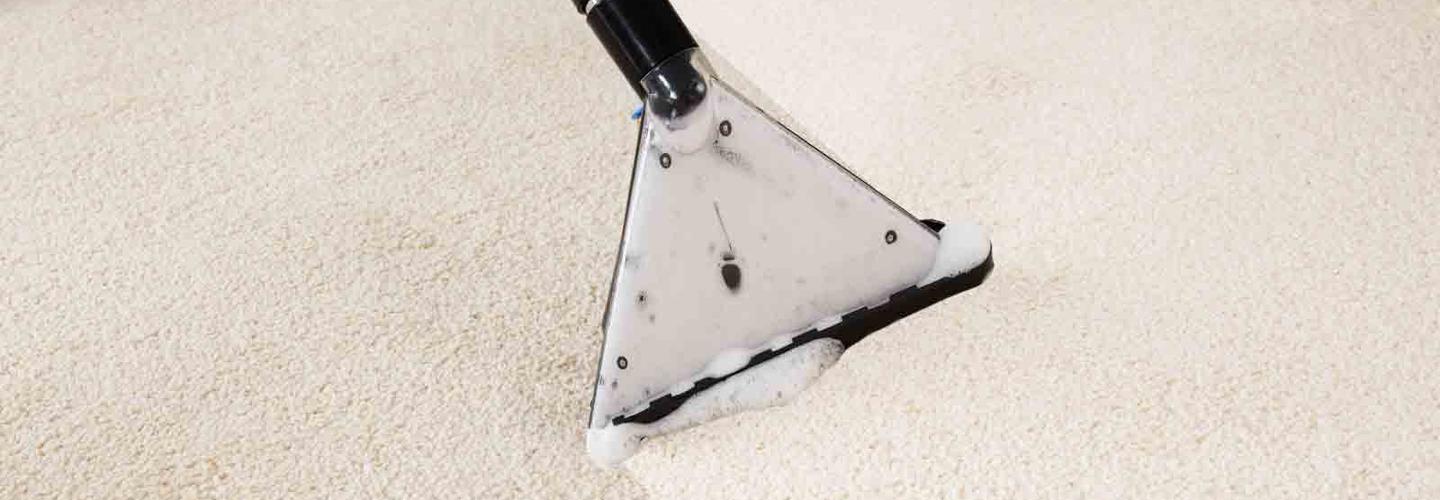City Carpet Cleaning Melton cover photo