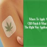 Sheas Healing CBD - photo 4