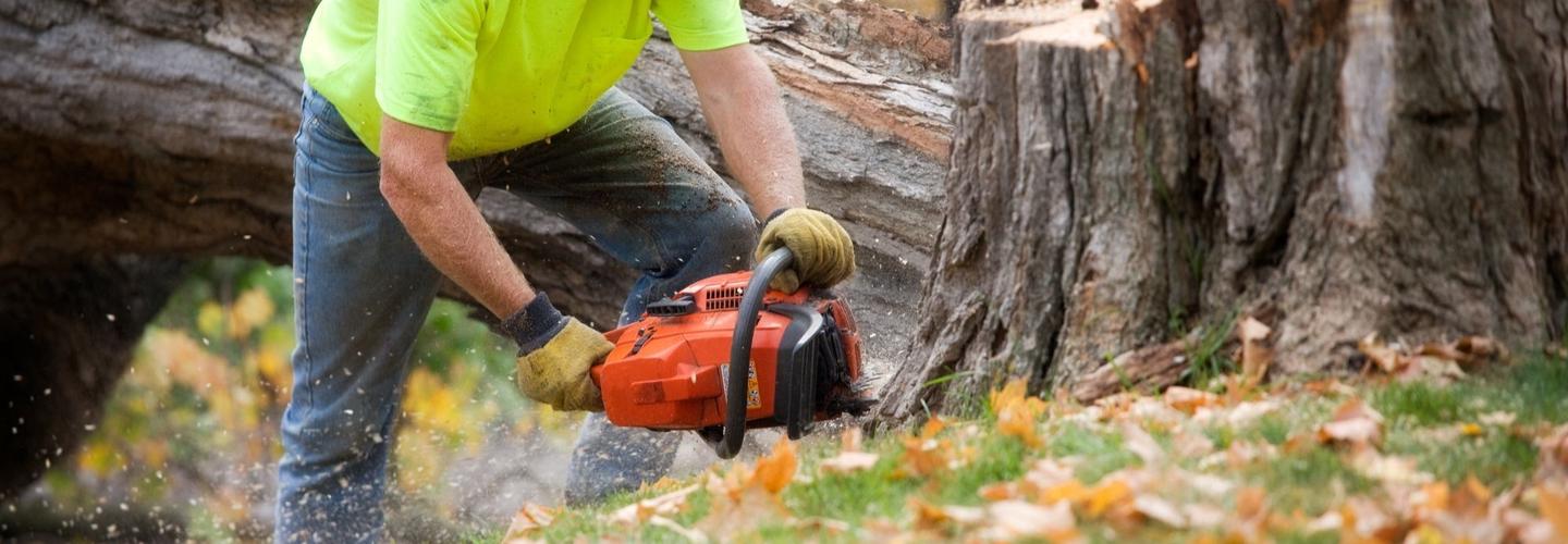 Amish City Tree Services cover photo