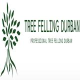 Tree Felling Durban - Tree Services in Durban