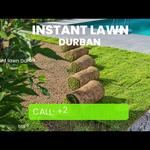 Tree Felling Durban - photo 1