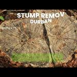 Tree Felling Durban - photo 7