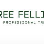 Tree Felling Durban - photo 8