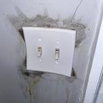 MoldStar Remediation - photo 2