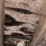 MoldStar Remediation - photo 3