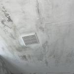 MoldStar Remediation - photo 4