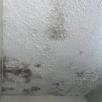 MoldStar Remediation - photo 6