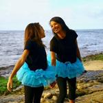 Malcomodes - photo 3