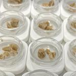 Terps Cannabis - photo 3