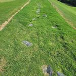 Second Home Care - photo 2