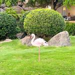 Second Home Care - photo 4