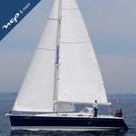 NCP CHARTER - photo 6