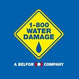 1-800 WATER DAMAGE of Greater New Haven - Home Services in Milford