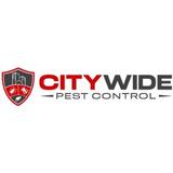 City Wide Pest Control Perth