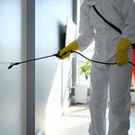 SAMS Pest Control Dee Why - photo 2