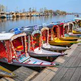 travelmykashmir - Hotels & Travel in Srinagar