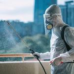 Roundabout Capital Termite mintu - photo 1