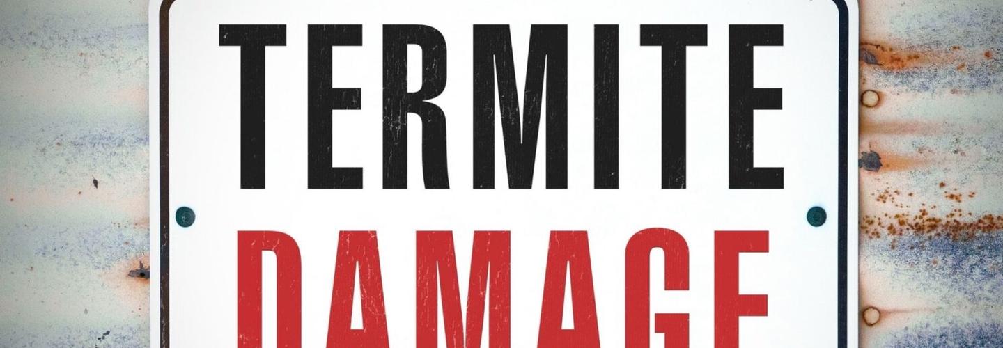 Ernesto Craft cover photo