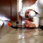 City Wide Pest Control Canberra - photo 3