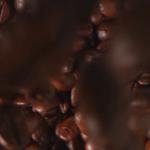 Coffee Catering For Events | Panda Coffee - photo 3