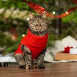 Whoosh Productions - photo 1