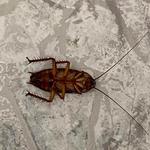 Xterminate - photo 7