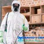 Dead Possum Removal Hobart - photo 3