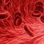 Kaizen Oncology Network - photo 4