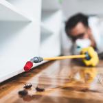 Morris Pest Control Canberra - photo 1