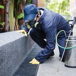 Morris Pest Control Canberra - photo 2