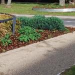 Soft Surfaces Ltd - photo 1