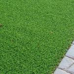 Soft Surfaces Ltd - photo 3