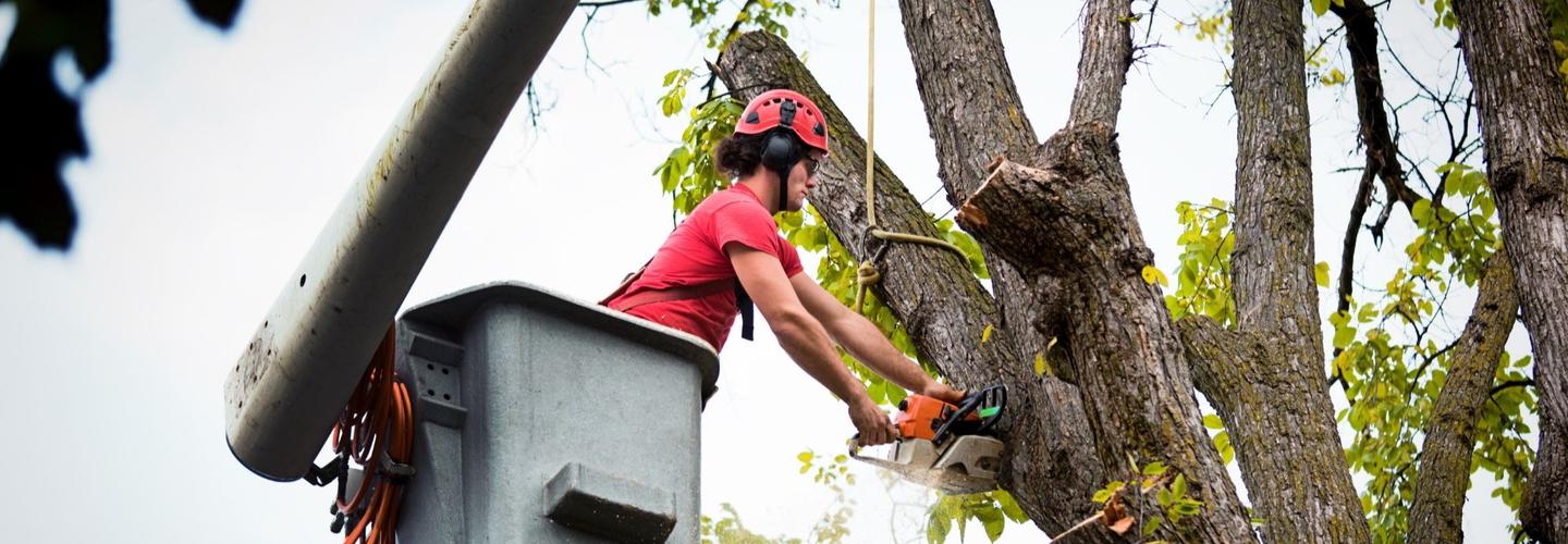 Four Corners Tree Service cover photo