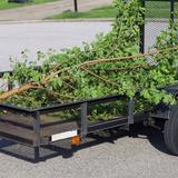 Four Corners Tree Service - Tree Services in Eau Claire