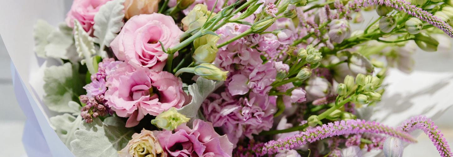 Blossoms Of Blackburn cover photo