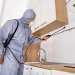 Marble City Termite Removal Experts - photo 1