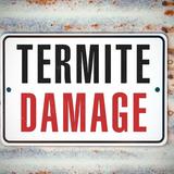 Marble City Termite Removal Experts - Professional Services in Knoxville