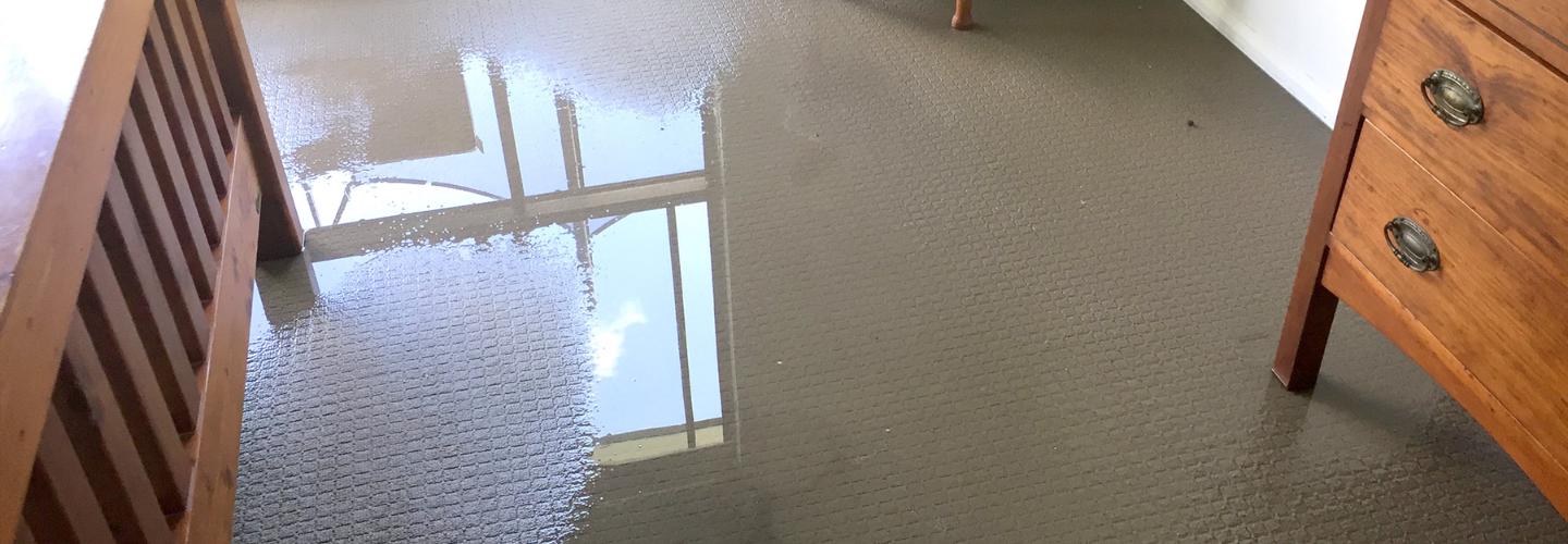 Water Damage Restoration Adelaide cover photo