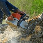 Central Rock Tree Service - photo 1