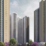 Brigade Valencia - photo 1