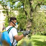 Gate City Tree Service - Tree Services in Pocatello