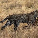 Best Camping Tours & Safaris Limited - photo 2